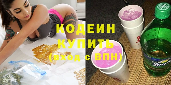 шишки Тавда