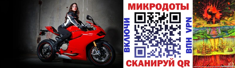 где можно купить наркотик  Дербент  Псилоцибиновые грибы Psilocybe 